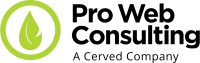 Logo Pro Web Consulting
